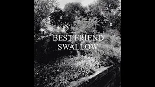 Best Friend - Swallow