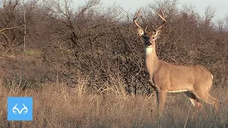 150" Buck In February? | David Blanton In Texas | Monster Bucks Monday