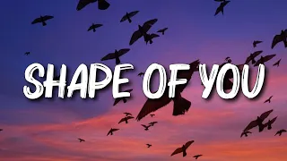 Ed Sheeran - Shape Of You (Lyrics) | I’m In Love In The Shape Of You | Judah - Vasman