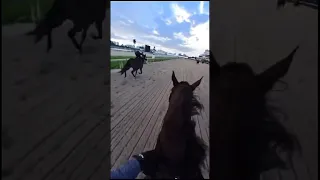 🐎🏎️