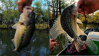 Fall Crappie and Largemouth Bass  - catching crappie and then lots of Bass