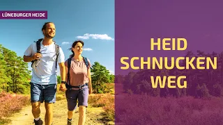 Heidschnuckenweg - Germany's most beautiful hiking trail in the Lüneburg Heath