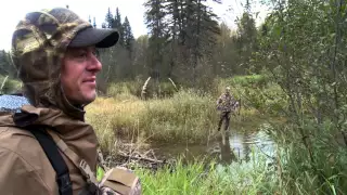 Steven Rinella Turns a Moose Charge into a Trophy Meal