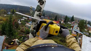 Harvesting Firewood With a Climber and Chainsaw