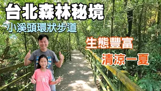 【台北森林秘境 | 小溪頭環狀步道】享受森林浴不用去溪頭，漫步在清幽涼爽的山林中，生態豐富，適合親子同遊！ | 士林景點、台北景點、內湖景點