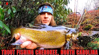 Trout Fishing Cherokee North Carolina