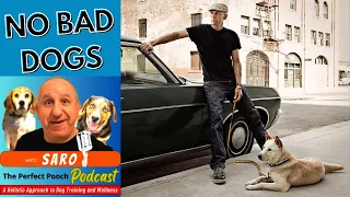 A conversation with Matt Beisner of Dog Impossible-Episode # 10