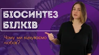 Підготовка до ЗНО з біології: біосинтез білків. Принцип комплементарності  / ZNOUA