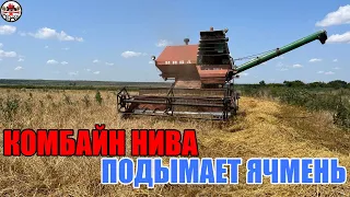 На пшеницу не поехали, зато выехали на ячмень! Комбайн НИВА СК 5 М 1