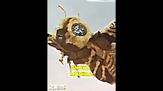 Godzilla vs Mothra Elimination Wheel pt9.5 Shin Godzilla vs Showa Mothra #godzilla #mothra #1v1edit