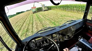 Cab View | IVECO 190-35 | Mais Silage