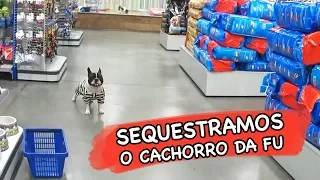 SEQUESTRAMOS O CACHORRO DA FU!!! (TROLLAGEM)