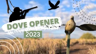 Dove Hunting 2023: Unforgettable Arizona Adventure