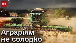 🌾 Нові скандали і проблеми з експортом - ГОЛОВНІ новини про українських аграріїв