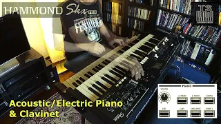 Hammond Skx PRO - focus on PIANO section @Tonewheeldude @HammondB3tube
