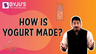 How is Yogurt Made? | Learn with BYJU'S