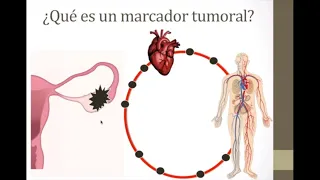 ¿Qué son los marcadores tumorales?