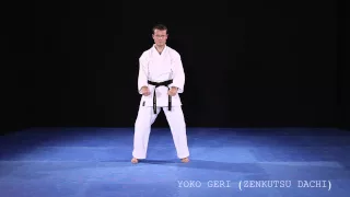 Kihon 14 - kaeshi - yoko geri vorderes Bein (zenkutsu dachi)