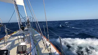 Hylas 54 In Ocean Swells