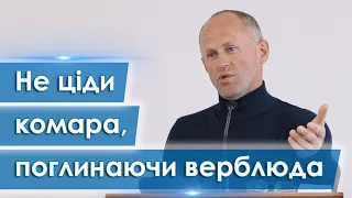 Не ціди комара, поглинаючи верблюда - Іван Пендлишак