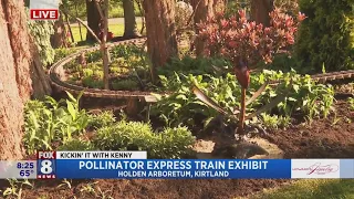 Kenny sharpens his knowledge about pollinators in the Pollinator Express at Holden Arboretum