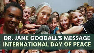 Dr. Jane Goodall's Message for International Day of Peace