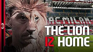 Ibrahimović | The Lion IZ Home