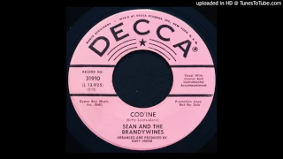 Sean & The Brandywines - Cod'ine - 1966 Garage Rock - Gary Usher Produced