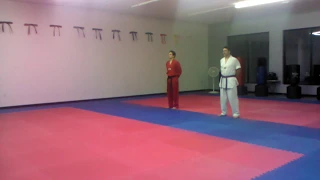 Tae Kwon Do and Tang Soo Do