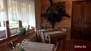 Дом охотника Выгоновский - интерьеры кафе, Отдых в Беларуси