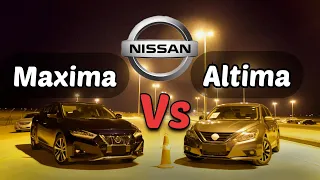 من الاقوى ؟ التيما ضد مكسيما | Nissan Altima vs Maxima