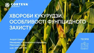 Агропоради від Corteva. Серія 10. Теорія. Хвороби кукурудзи. Особливості фунгіцидного захисту.