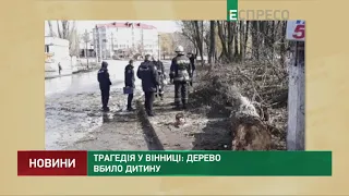 Трагедія у Вінниці: дерево вбило дитину
