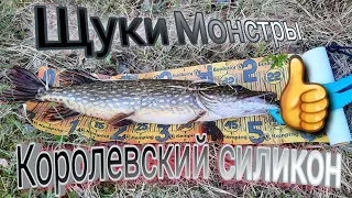 щуки монстры / королевская резина / на что ловить трофей