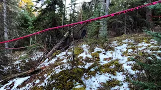 Mountain Beast Returns To Shelter Site Weeks Later After Cops Investigate Human Remains ( Video 12)