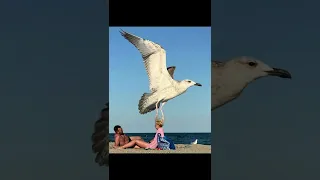 Perfect timed photos..🙏🏼😊#photos #perfect #shorts #youtube