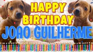 Happy Birthday Joao Guilherme! ( Funny Talking Dogs ) What Is Free On My Birthday