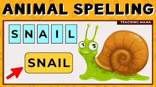 LEARN HOW TO SPELL ANIMALS | BASIC ENGLISH WORDS | Teaching Mama