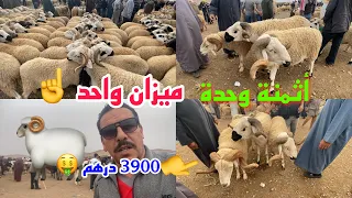 حولي خروف العيد تمن واحد ميزان واحدٍ أسواق الشرق المملكة المغربية الأربعاء وجدة 0721710382 مرحبا