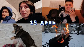 Привыкаем к новому питомцу 🐾 Встреча с друзьями ❤️ Помощь беженцам