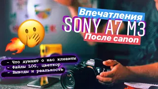 Sony A7 iii после Canon для ФОТО и ВИДЕО. S-log и C-log. Цвет и картинка. БОЛЬШОЙ обзор