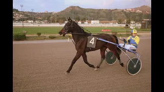 Италия. Неаполь. Mediterranean Trot Championship - 2008.