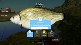 Akhtuba River spot, Rare Trophy Buffalo - #19 - Russian Fishing 4 / RF4