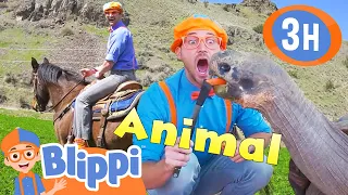 Blippi's Best Animal Stories for Kids! 3 HOURS of Blippi!