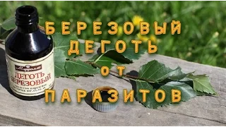 Избавляйся от ПАРАЗИТОВ. БЕРЕЗОВЫЙ  ДЕГОТЬ.