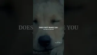 Dog Lover 😍 | Attitude WhatsApp Status | Ap Creator