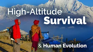 CARTA: Revealing Human-Specific High-Altitude Survival