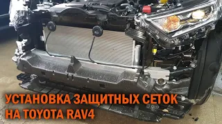 Защитные сетки для Рав4 - Автотехцентр SoundSpeed