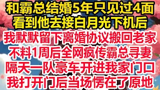 和霸总结婚5年只见过4面，看到他去接白月光下机后，我默默留下离婚协议搬回老家，不料1周后全网疯传霸总寻妻，隔天一队豪车开进我家门口，我打开门后当场愣在了原地！