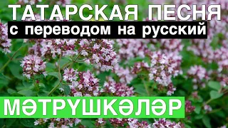 Татарские песни С ПЕРЕВОДОМ НА РУССКИЙ I МЭТРҮШКЭЛЭР / ДУШИЦА